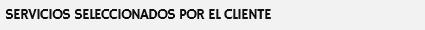 SERVICIOS SELECCIONADOS POR EL CLIENTE